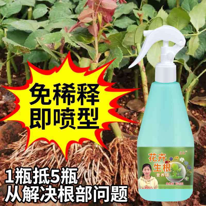 Rose Rooting Liquid Rooting Agent Cuttings Flower Arrangement Seedling Rapid Rooting Liquid Seedling Strengthening Agent New Root Strengthening Agent