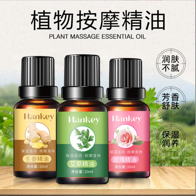 Mugwort Essential Oil Ginger Rose Massage Essential Oil Gua Sha Push Back Care Massage Tendon Spa Essential Oil Manufacturer Wholesale