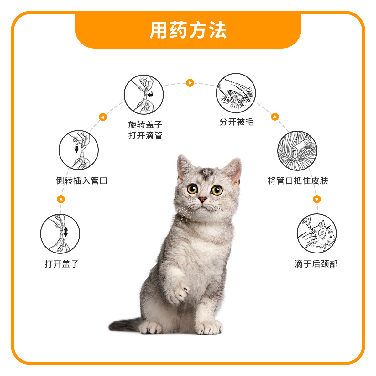 German's Bayer Ai Walker Cat Repellent Cat Internal and External Internal and External Repellent Pet Kitten Flea Ear Mites