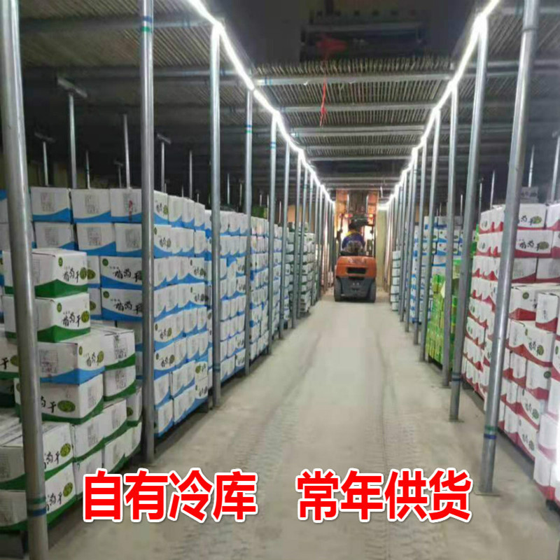 Free Shipping Xinjiang Raisins No Additives Raisins 10kg Bulk Raisins Commercial Snack Raisins