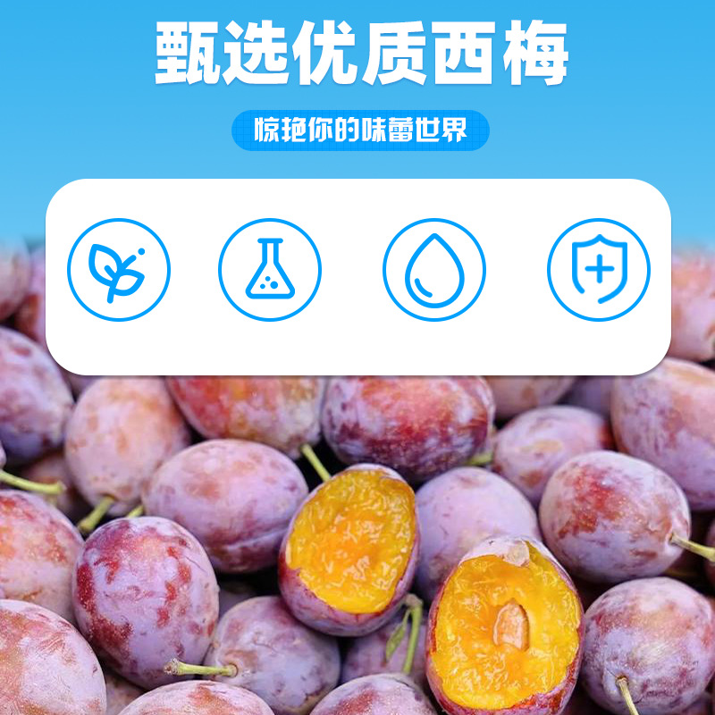 Lactic Acid Bacteria Solid Drink Imported Prebiotic Nutrition Probiotics Good Absorption Source Factory Ready Stock