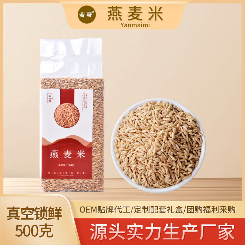New rice oat rice oat kernel oat grain grain porridge coarse grains rice factory wholesale bulk vacuum oat