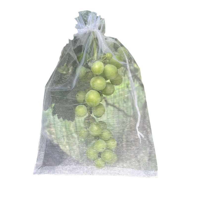 Fruit tree bagging insect-proof and bird-proof bag strawberry fig pomegranate grape tomato fruit protection special gauze mesh cover