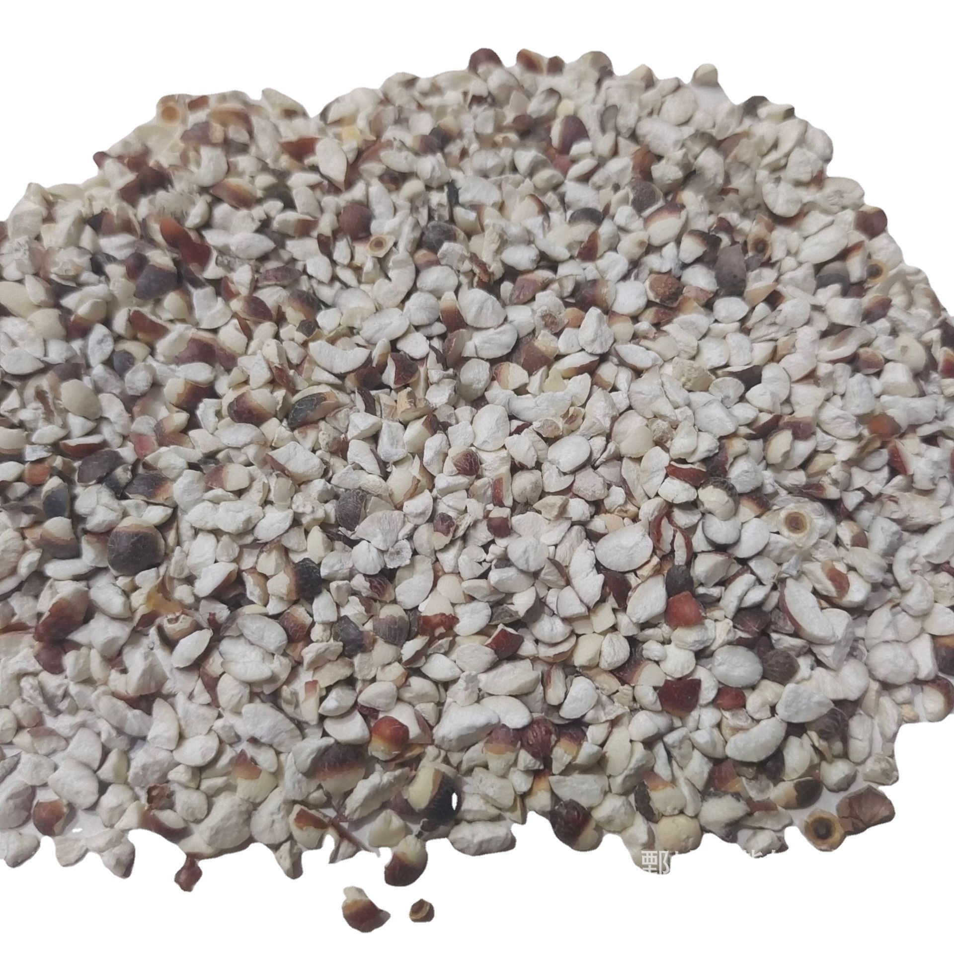 [Zixuantang] Gorgon Broken Rice 500g New Arrival Large Volume Preferential Actual Photography Wholesale of Chinese Medicinal Materials Gorgon Rice