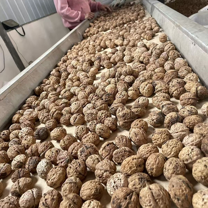 Yunnan Thin-Skinned Walnuts, Ugly Walnuts, New Crop, Paper-Skinned Thin-Shelled Walnuts, Street Stall Dried Walnuts, Wholesale Walnuts