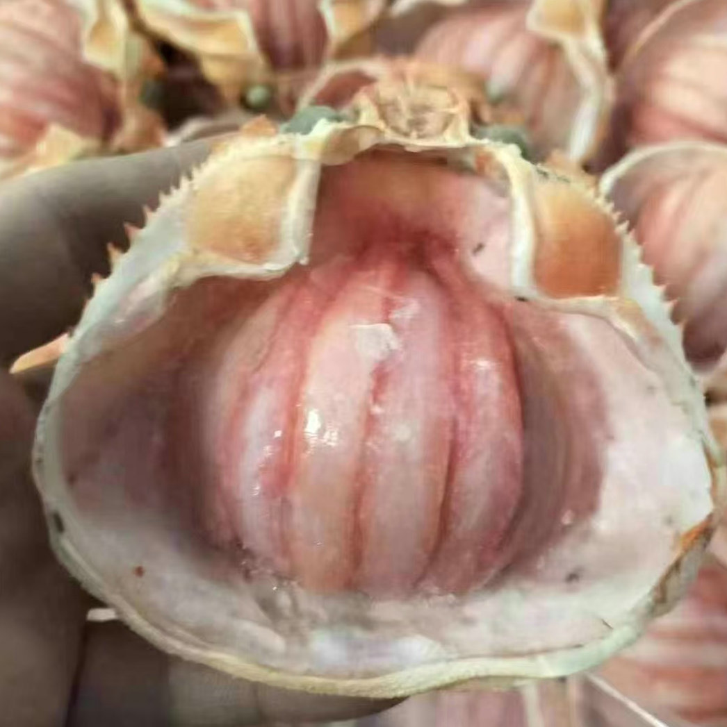 Jiangsu Frozen Korean Crab Treasure Shelled Crab Meat Commercial Large Shell Crab Treasure 70G/Piece Buffet Ingredients Wholesale