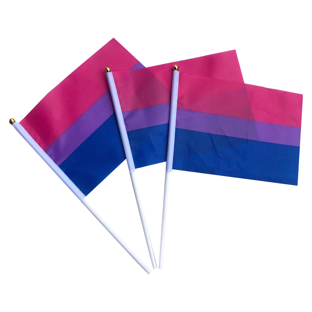 No. 8 comprehensive rainbow flag in stock wholesale 14 * 21cmFt polyester flag manufacturers hand flag cross-border TEMU supply