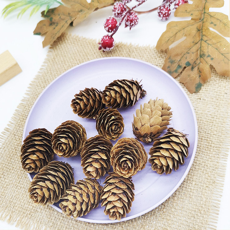 Лиственница сосна сухие цветы сосновая башня покрашенная в белый мини сосновый плод окрашенный в белый сосновый цветок DIY декоративные аксессуары оптом