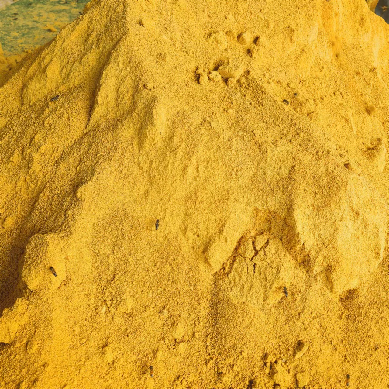 Bee Feed, Flower Pollen Powder, Bee Feeding Pollen, Edible Pollen Powder, Bee Food, Home Use, Bee Farm Packaging, Customized Export