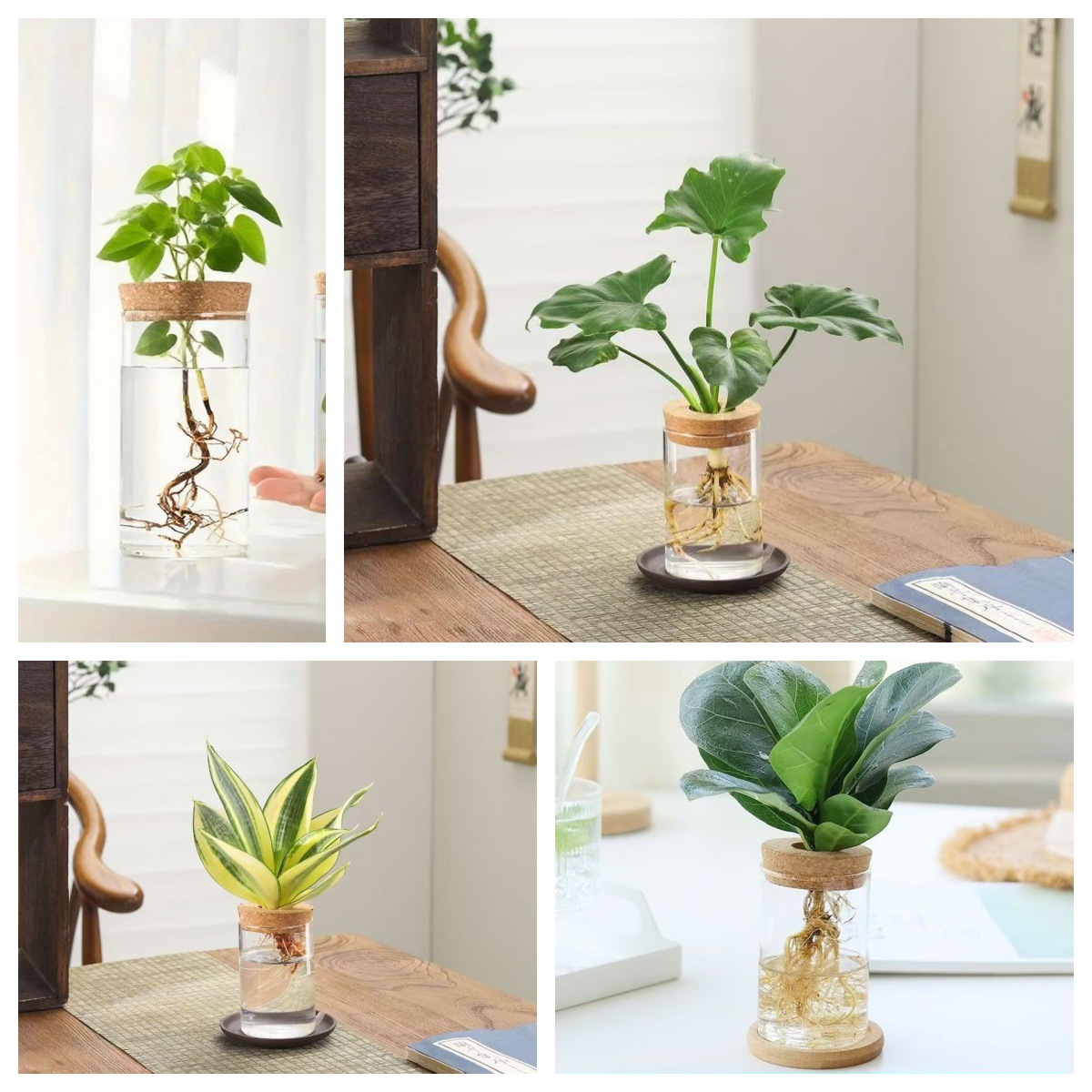 High Borosilicate Glass Micro-Landscape Vase Living Room Hydroponic Plant Ornaments Vase Flowers Home Vase