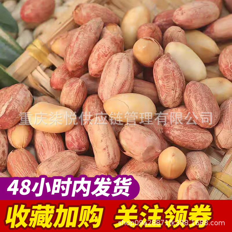 Marin 130g Southern Milk Peanut Garlic Grilled Spiced Peanut Kernel Nuts Casual Craving Snacks Snacks and Drinks