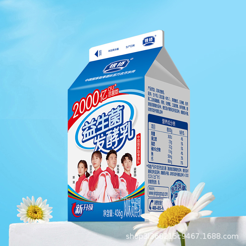 Silver Bridge House 6 Boxes