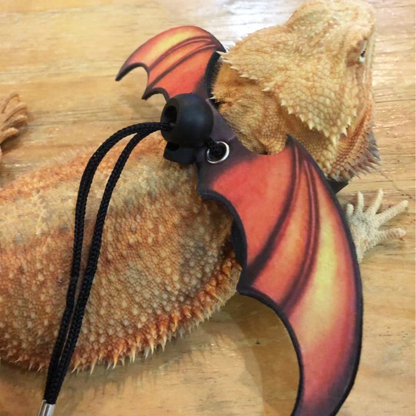 Lizard Traction Rope Climbing Pet Out Traction Rope Walking Lizard Rope Small Pet Traction Rope Festival Wings Traction Rope