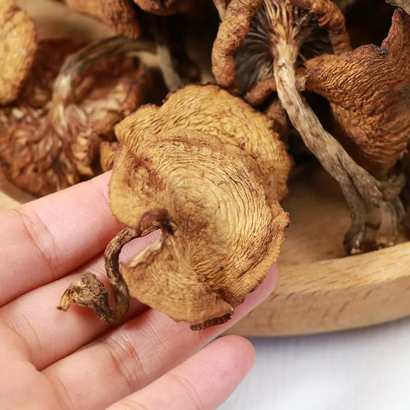 Northeastern Wild Hazelnut Mushroom Slices, Dry Goods, Specialty Selection, Sulfur-Free, Smoked and Dyed, Shipped from the Place of Origin