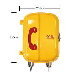 Afutel Explosion-Proof Alarm Ip Phone Aft-Bg-02Fwl Waterproof and Explosion-Proof Ip68 with Alarm Tunnel