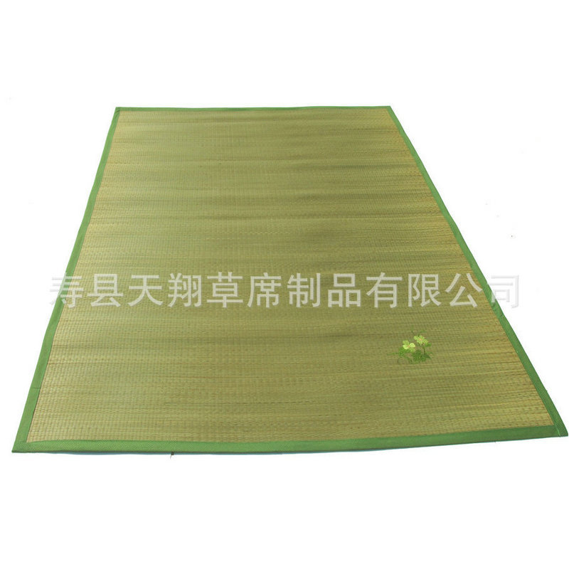 Thickened folding single-sided bed mat straw mat new student children's bed mat portable summer printed summer mat
