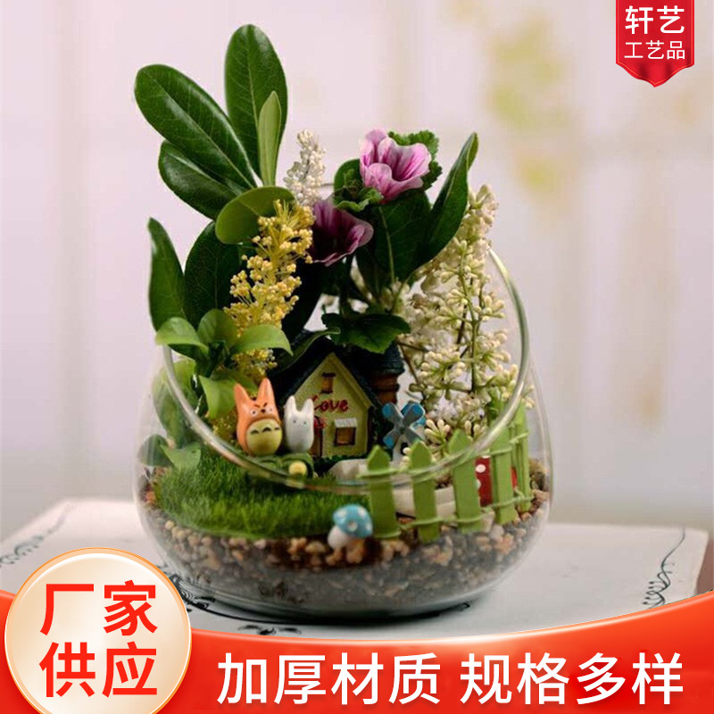 Микроландшафтная наклонная стеклянная ваза с мхом и суккулентами DIY экологическая бутылка гидропонный цветочный контейнер домашний мох и суккулентный ландшафт