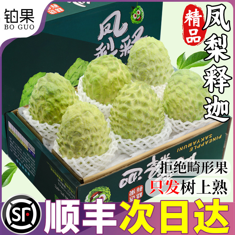 Sf 2.5 кг, молочный ананас, свежий фрукт гравилат, сезонный ананас, гравилат, фиговый фрукт, большой фрукт, подарочная коробка