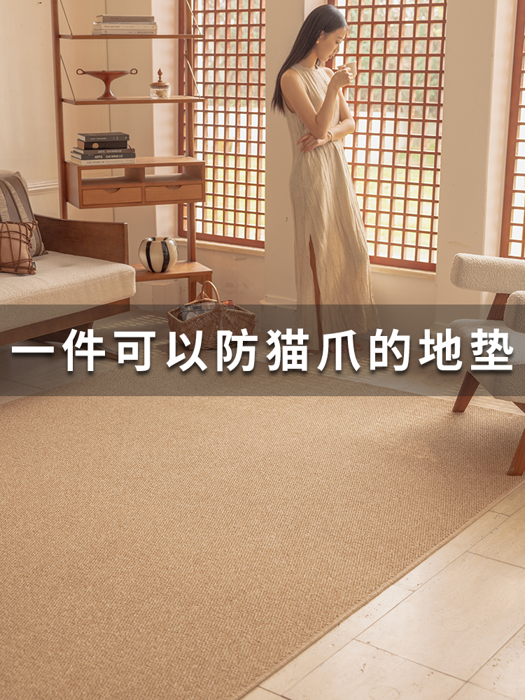 Carpet Living Room 2025 New Imitation Sisal Sofa Floor Mat Japanese Jute Cat Scratching Board Photo Studio Photo Pet