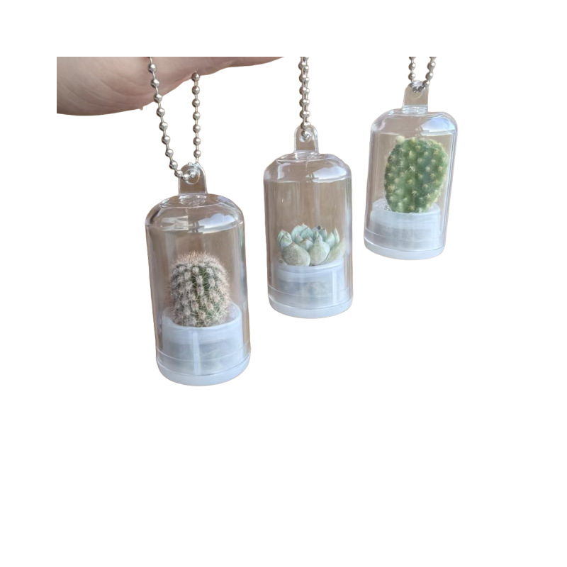 School Bag Pendant Creative Mini Succulent Plant Pendant Miniature Landscape Keychain Couple Best Friend Student Gift