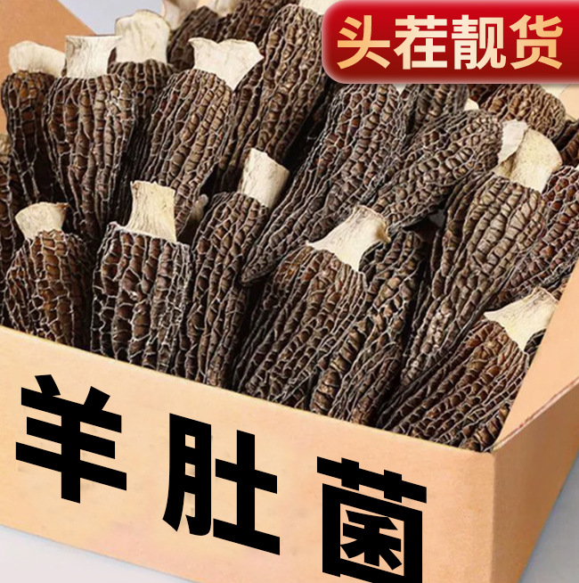 Premium Dried Morel Mushrooms from Yunnan, Specialty Grade Wild Mushroom Soup Ingredients with Cut Stems