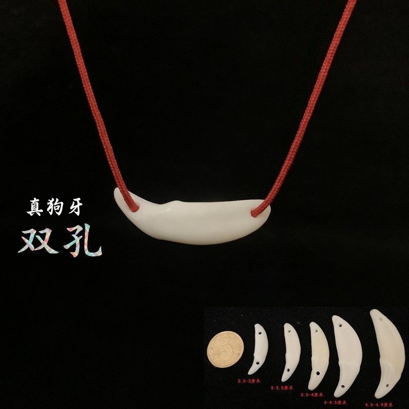 Трендовые зубы собаки в форме зуба волка, детский кулон, аксессуар, унисекс, подарок на день рождения, черный зуб собаки