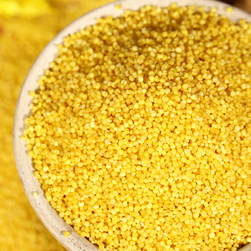 [Wholesale Yellow Millet] Seasonal Boutique New Millet Farm Moon Millet Congee Bait Feed Millet 25kg