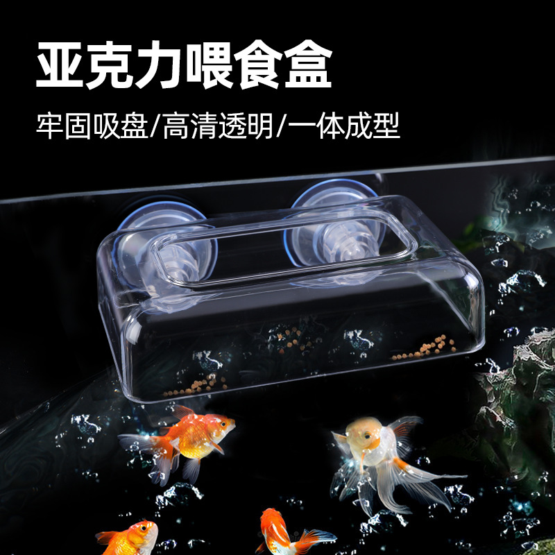 26-летняя новая модель кормушки для аквариумных рыб, прозрачная акриловая фиксированная кормушка с противооб浮ающим кольцом