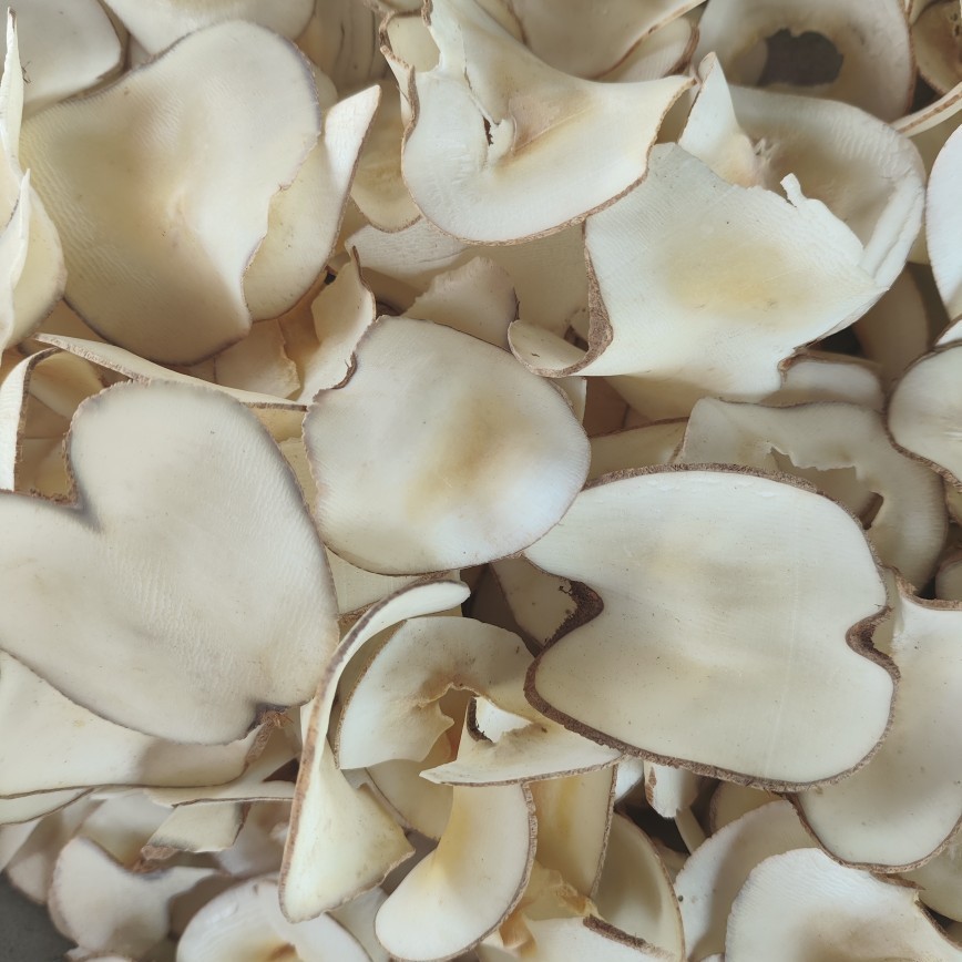 Undersea Coconut Manufacturer Direct Sales Wholesale Dried Goods Soup Ingredients Original Undersea Coconut Dried Slices Dessert Ingredients Dropshipping