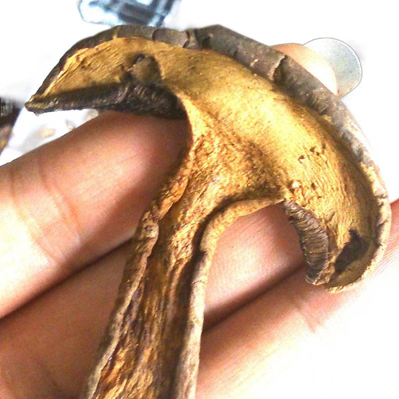 Dried Black Chanterelle Mushrooms, Fresh and Nutritious Mushrooms, Commercial Hot Pot Soup Ingredients, Can Be Used as Magic Chanterelle Mushrooms