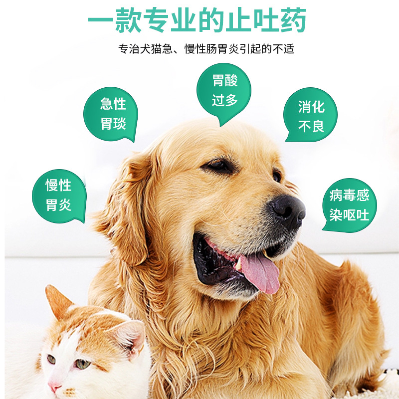 Pet Medicine, Cat Antiemetic, Dog Vomiting and Diarrhea Medicine, Cimetidine Tablets