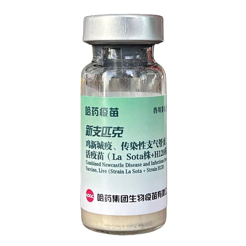 Harbin Pharmaceutical New Branch Peak Chicken Newcastle Disease Dual Chicken Plague Chicken Vaccine Chicken New Branch Dual New Branch H120