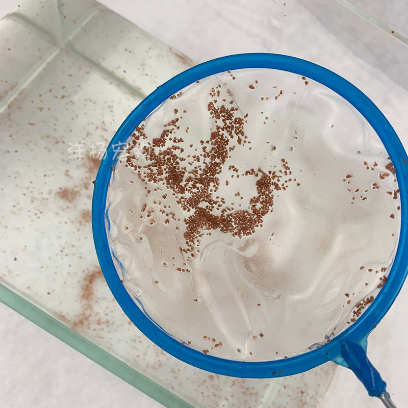 Goldfish Net Pocket Small Household Fish Tank small size Round Super-dense Fishing Net Medium Retractable Koi Fish Small Fishing Net