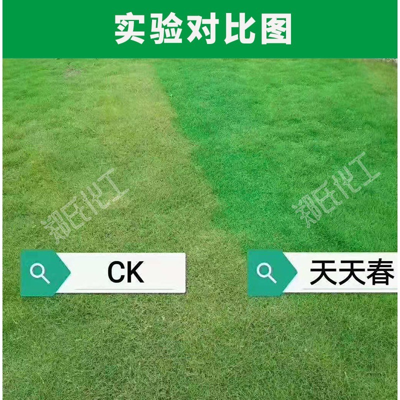 Daily Spring Lawn Green Enhancer Quick Coloring Dye Dormant Dead Grass Project Acceptance Instant Environmental Protection One Spray Green