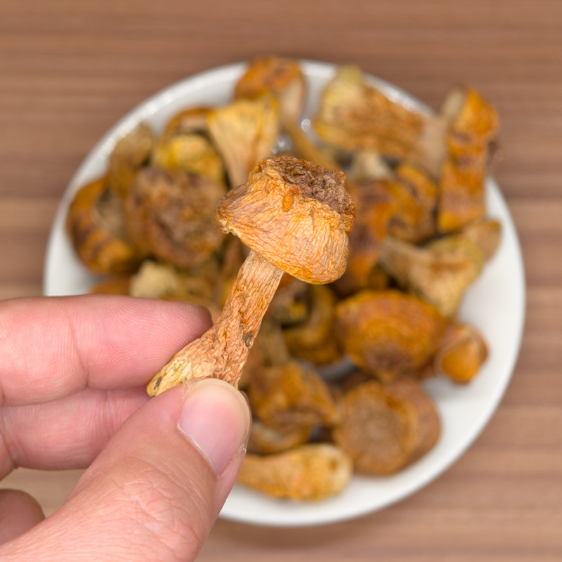 Agaricus Blazei Mushroom 200g Yunnan Non-Wild Mountain Mushroom Natural Color Yellow Brazilian Mushroom Wholesale Oem Customization