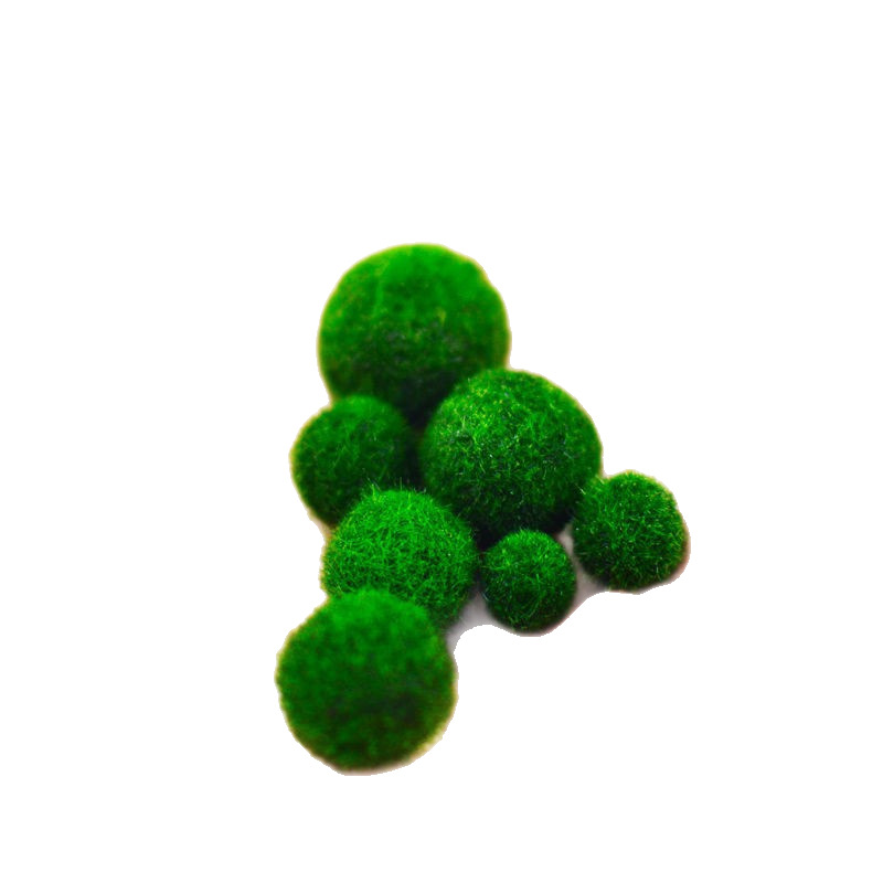 Seaweed Ball Marimo Ecological Bottle Desktop Fish Tank Hydroponic Plant Aquatic Plant Landscaping Micro Landscape Water Algae Ball Marimo
