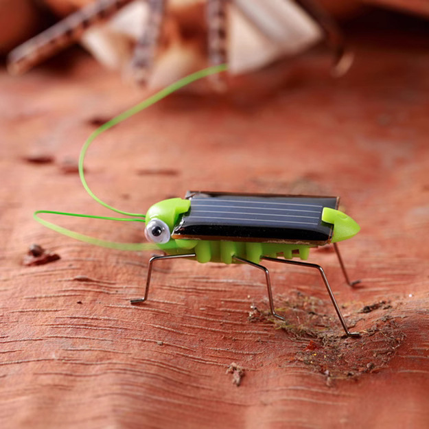 Fashion fun solar grasshopper insect animal model insect model
