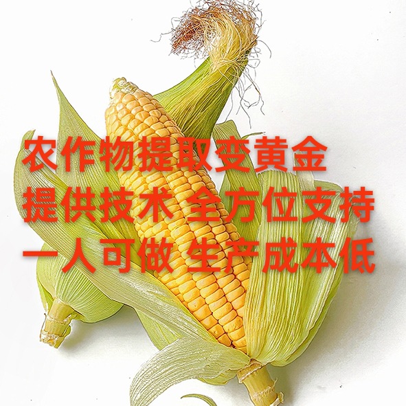 Free Training, Free Technology: Corn Extract Plant Protein Peptides Can Increase Crop Income. Headquarters Will Come to Acquire Them