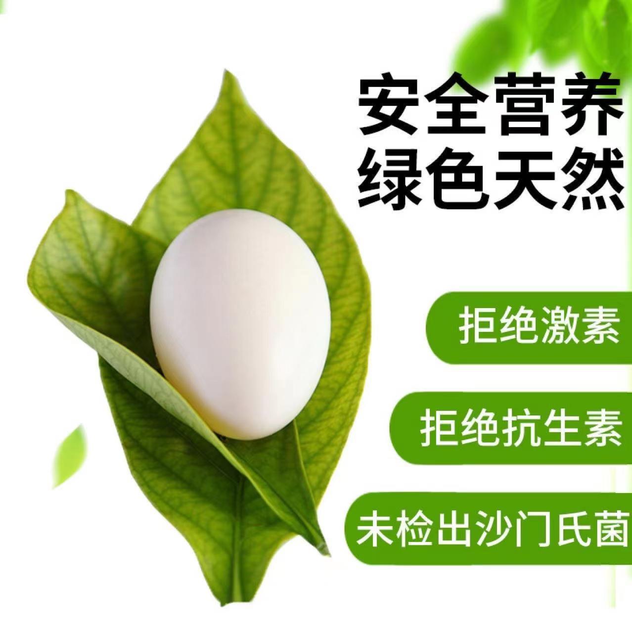 Свежие яйца голубей от фермы Сяньцзы Лань Гуншань для беременных женщин и детей, смешанное зерновое кормление, 30 штук, оптовая продажа