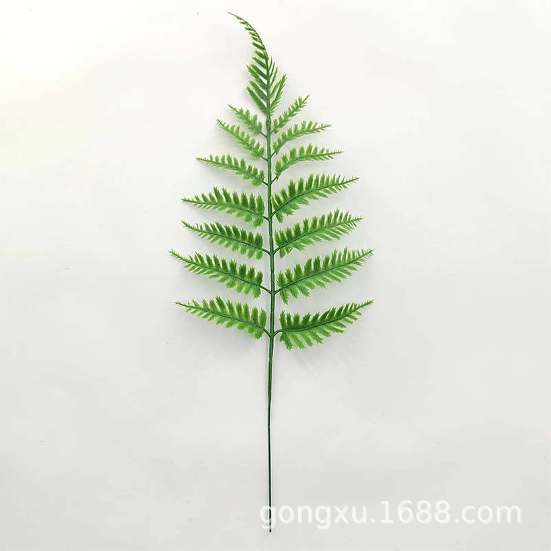 Wedding flower arrangement leaf decoration simulation fern supernatural landscaping plane pine large fern leaf long fern leaf