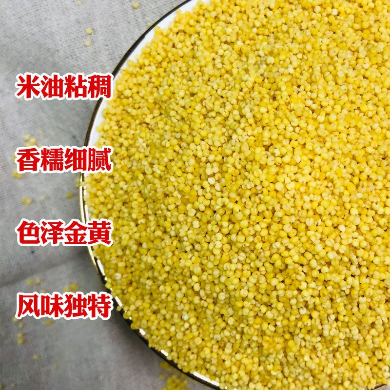 Xinhonghe northeast organic yellow millet 500g new millet factory wholesale month edible yellow rice bulk wholesale