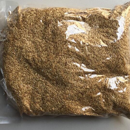 Low-Temperature Baked Oats, Cooked Whole Grains, Freshly Ground Soy Milk Ingredients Wholesale