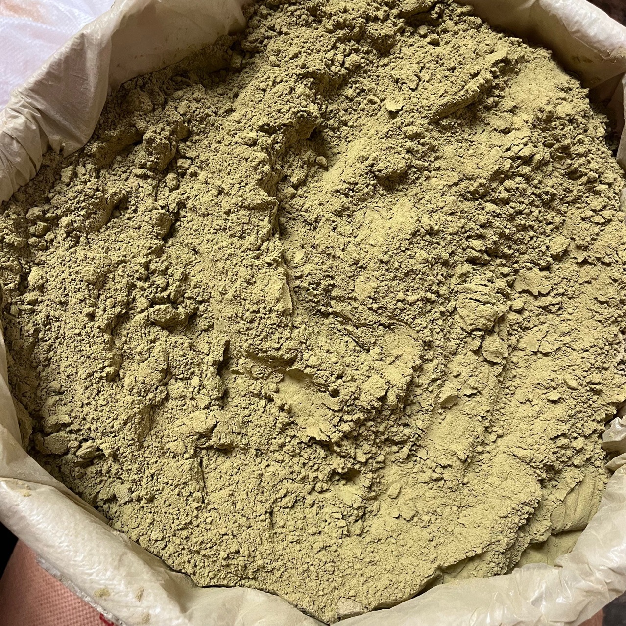 Freshly Ground Wholesale Raw Material of Sichuan Wild Platycladus Orientalis Leaf Powder, Fine Powder, Bulk Wholesale of Natural Cypress