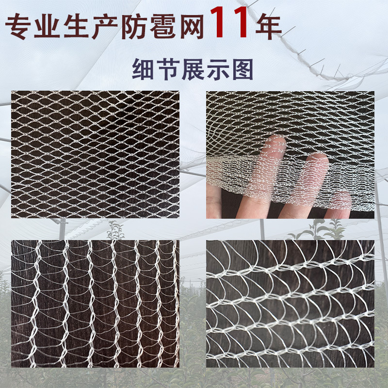 Anti-Hail Net White Rhombus Apple Orchard Cherry Tree Anti-Hail Net Rice Planting Flower Garden Thickeneded Anti-Hail Net