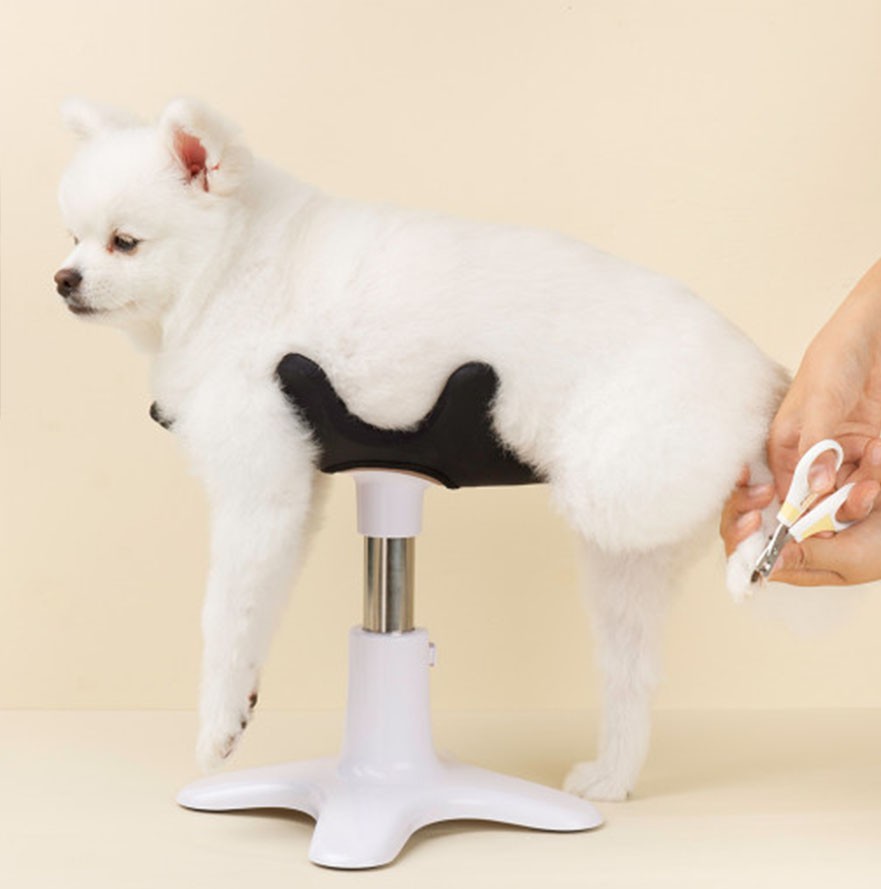 Pet Grooming Care Table, Dog Fixed Auxiliary Stand, Special Manicure and Hair Dryer for Pet Bathing