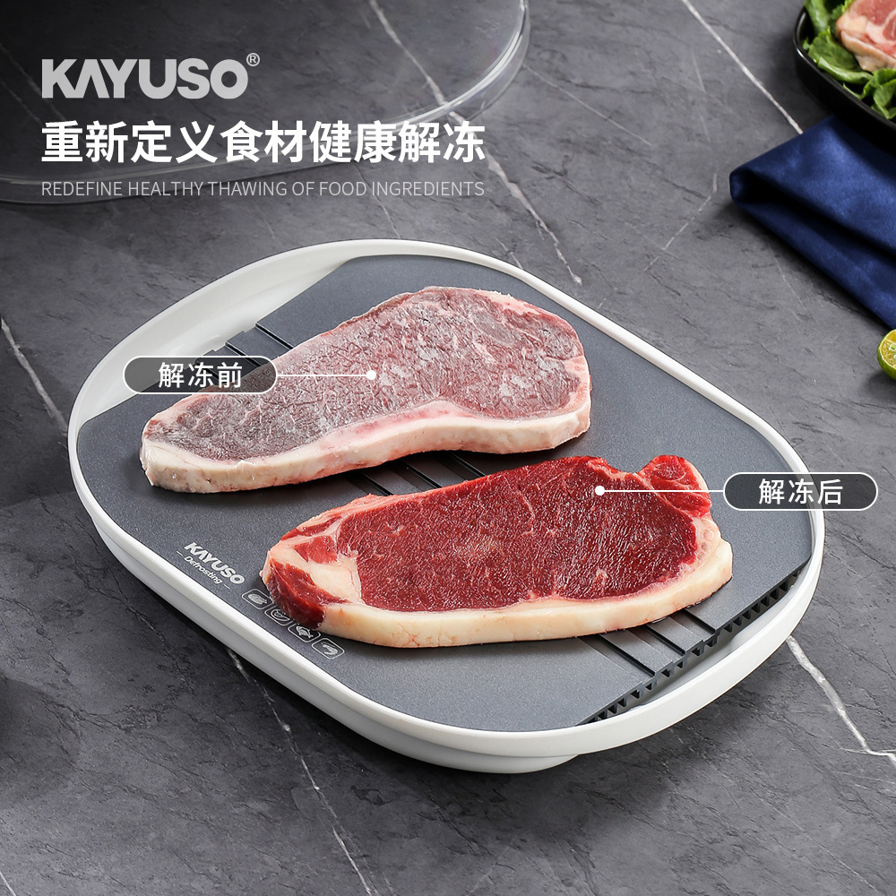 Thawing Artifact Preservation Fast Household Food Thawing Machine Commercial Food Meat Thawing Plate Steak Constant Temperature