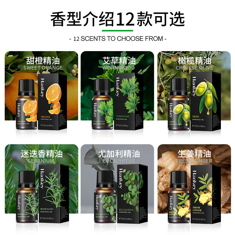 Rose Lavender Mint Massage Essential Oil 10ml Korean Plant Essential Oil Export Cross-Border Full English