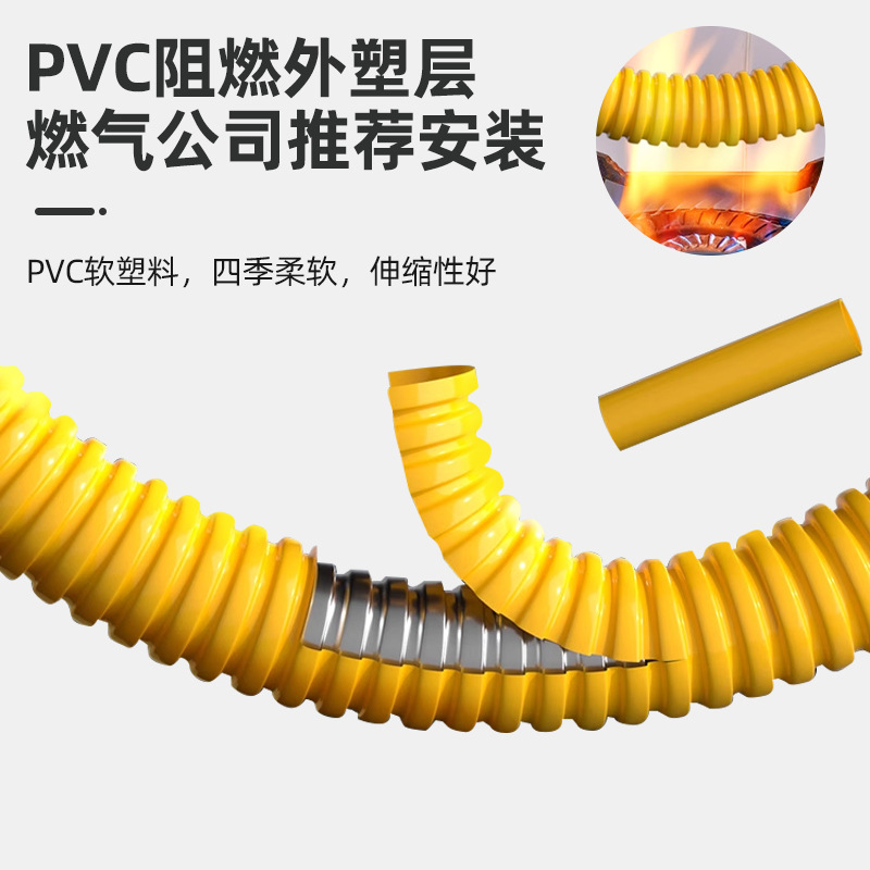 New National Standard Explosion-Proof Gas Pipe Gas Pipe Liquefied Gas Natural Gas Gas Stove Special Connection Metal Armored Hose