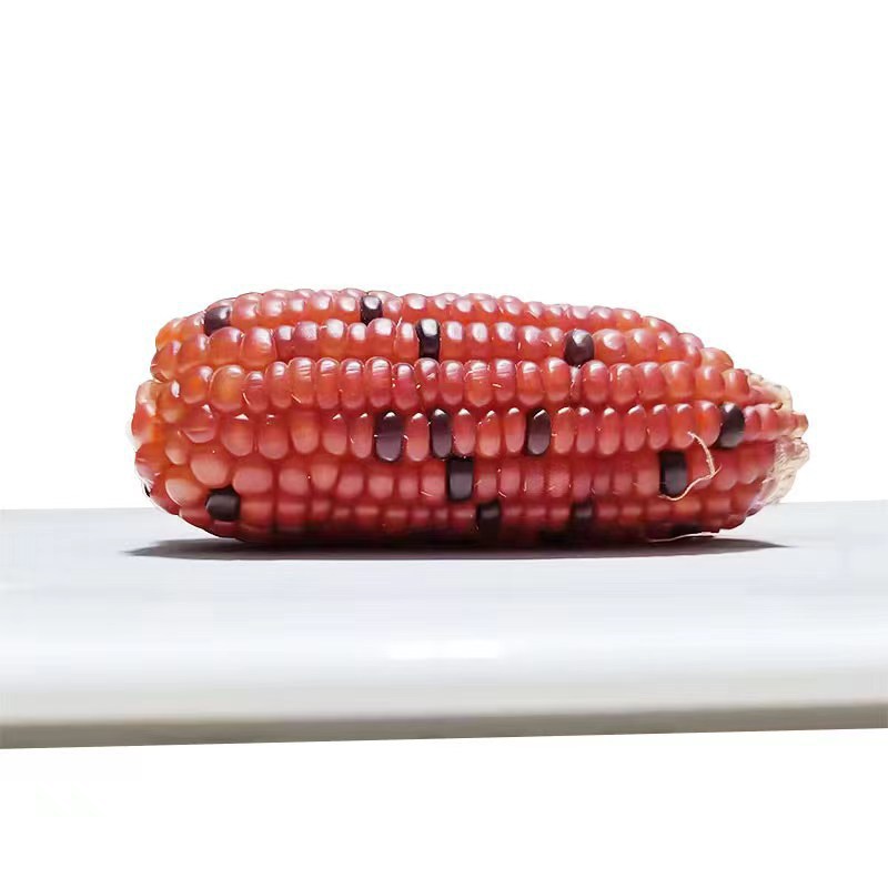 The Manufacturer Supplies Popular Mini Corn Hamster Molar Sticks, Corn Golden Bears, Rabbits, Chinchillas, Molar Corn