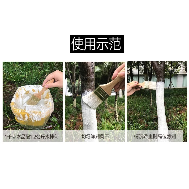 Guoguang Shiqi Tree Trunk Whitening Agent for Winter Fruit Orchards and Roses, Insect-Proof, Frost-Proof, Sterilization, No Need to Mix with Water, Tree Whitening